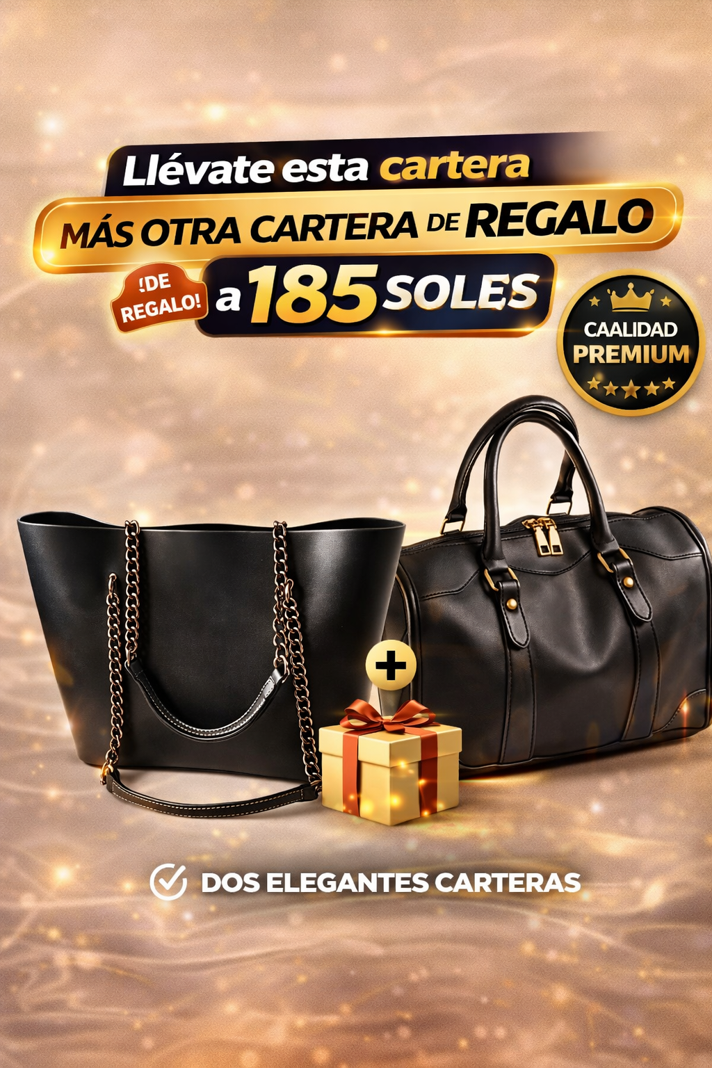 👜 OFERTA ESPECIAL – CARTERA PREMIUM