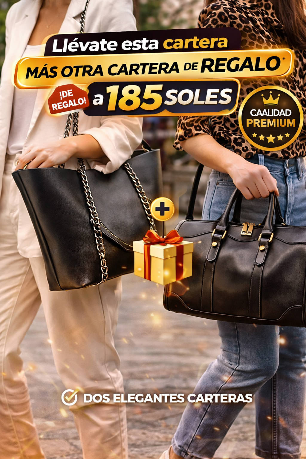 👜 OFERTA ESPECIAL – CARTERA PREMIUM